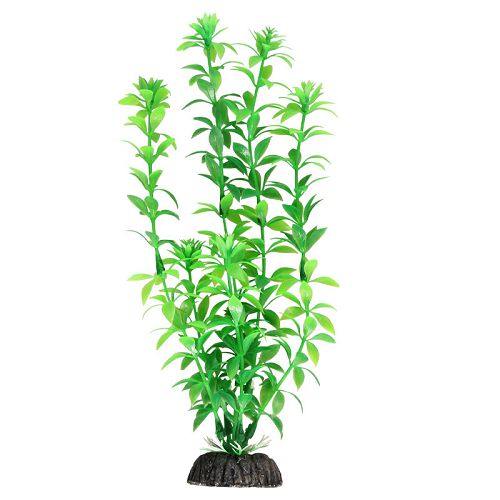Растение Laguna "Гемиантус" зеленый, 300 мм