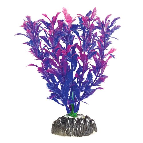 Растение Laguna "Людвигия фиолетовая", 100 мм