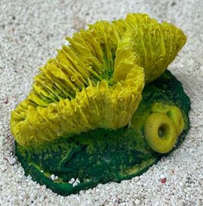 Цветной коралл желтый Гониопора, 7х5х4 см