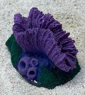 Цветной коралл фиолетовый Гониопора, 7х5х4 см