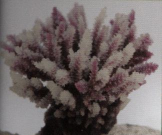 Коралл VITALITY мягкий, пластик, коричневый, 10,5x8,5x8 см