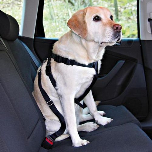 Автомобильный ремень безопасности TRIXIE для собак, 80-100 см