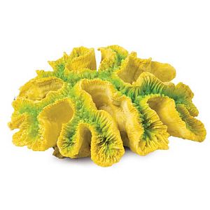 Коралл Laguna искусственный «Симфиллия», зелено-желтая, 170х130×65 мм
