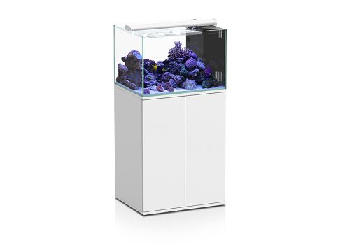 Аквариум с тумбой AQUATLANTIS ULTRACLEAR 75SW морской, 200 л, 75x60x50 см от интернет-магазина STELLEX AQUA