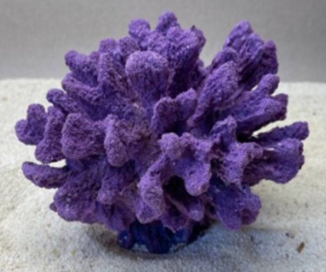Цветной коралл фиолетовый Коралл средний, 18*17*14 см