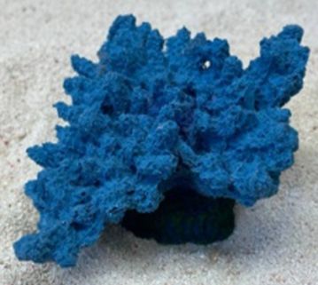 Цветной коралл синий Коралл корона, 13*10*6,5 см