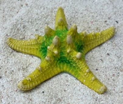 Цветной коралл желтый Звезда остроконечная, 12*12*4 см