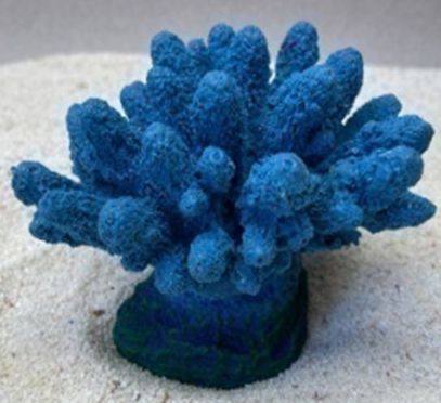 Цветной коралл синий Коралл, 13*10*10 см
