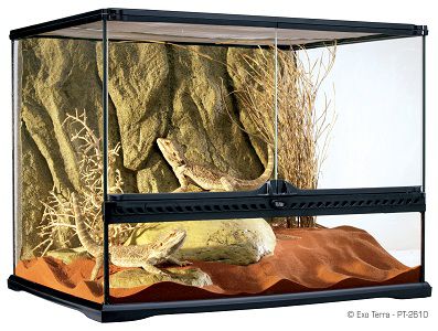 Exo Terra террариум из силикатного стекла с дверцами, покровной сеткой и декоративным фоном, 60х45х45 см