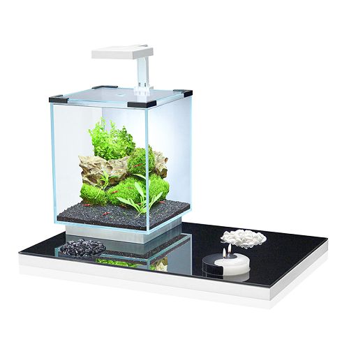 Аквариум AQUATLANTIS YIN-YANG, 18 л, 25х25х30 см от интернет-магазина STELLEX AQUA