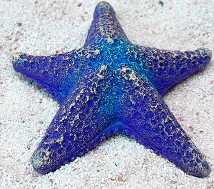 Цветной коралл синий Звезда средняя, 9*9*2 см