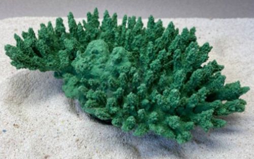 Цветной коралл зеленый Белиз 1, 28*19*10 см