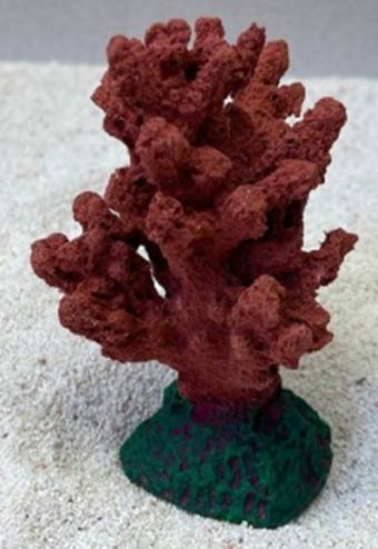 Цветной коралл красный Коралл ветка, 7*7*11 см