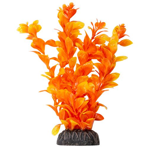 Растение Laguna "Людвигия" ярко-оранжевая, 200 мм