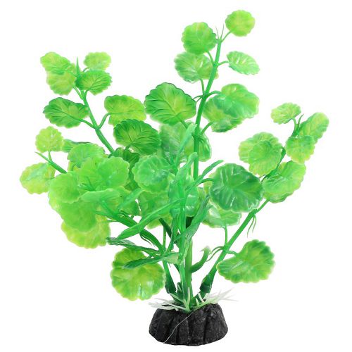 Растение Laguna "Щитолистник" зеленый, 100 мм