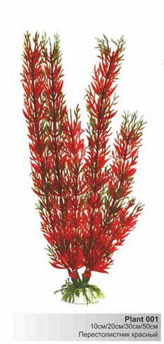 Пластиковое растение Barbus Перестолистник красный 20 см