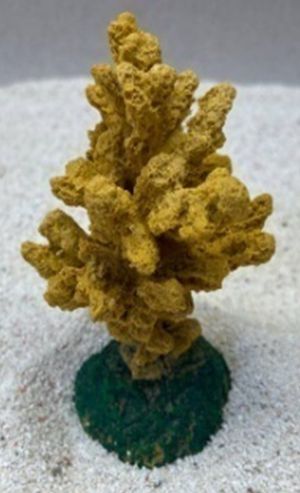 Цветной коралл оранжевый Коралл ветка, 7*7*11 см