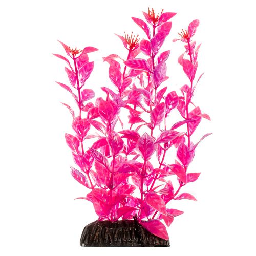Растение Laguna "Людвигия" ярко-розовая, 300 мм