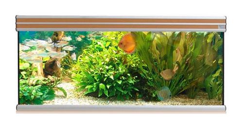 Аквариум AQUATLANTIS EVASION 120х50, 375 л, 120х50х70 см от интернет-магазина STELLEX AQUA