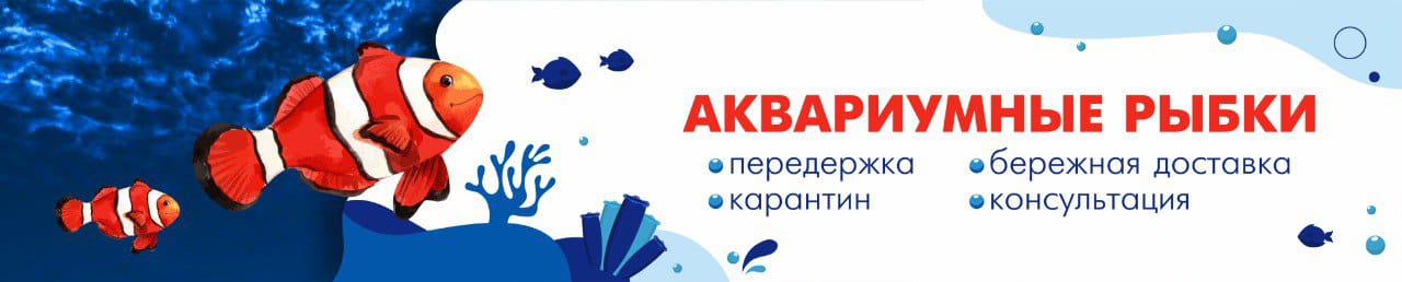 Аквариумное оборудование: аквариумный интернет-магазин STELLEX AQUA