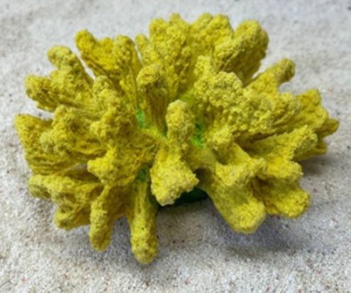 Цветной коралл желтый Коралл брокколи, 14*13*7 см