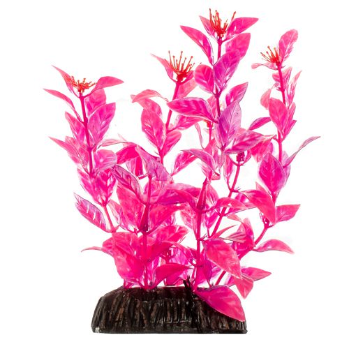 Растение Laguna "Людвигия" ярко-розовая, 200 мм