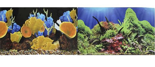 Фон PRIME двусторонний Морские кораллы/Подводный мир, 60х150 см