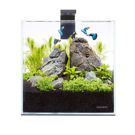 Аквариумный набор AquaLighter "Pico Set", 5 л