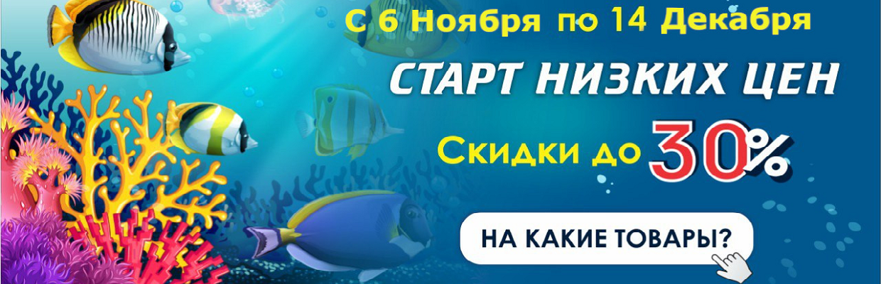 Распродажа ноябрь-декабрь 2023 - 30%