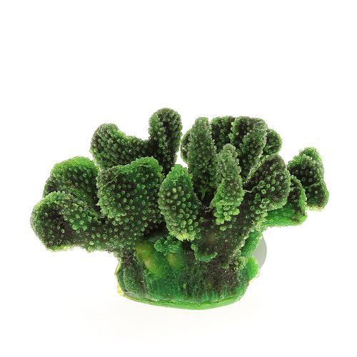 Коралл VITALITY мягкий, пластик, зеленый, 19x13x10,5 см