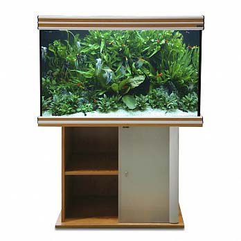 Тумба AQUATLANTIS EVASION 101х50 д/аквариума, 101x50х70 см от интернет-магазина STELLEX AQUA