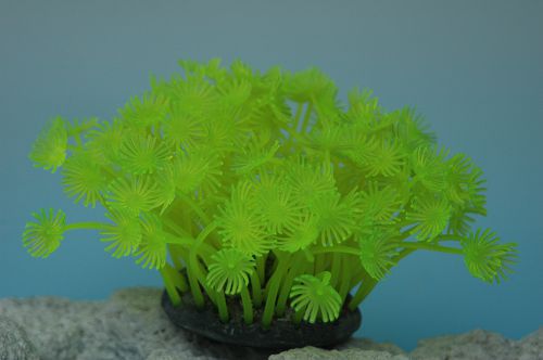 Коралл VITALITY силикон, желтый, 7,5х7,5х10 см