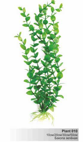 Пластиковое растение Barbus Бакопа зелёная 30 см
