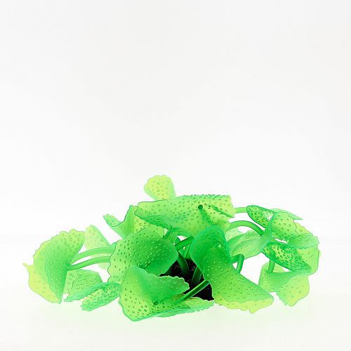 Коралл VITALITY силикон, зеленый, 5,5х5,5х12 см