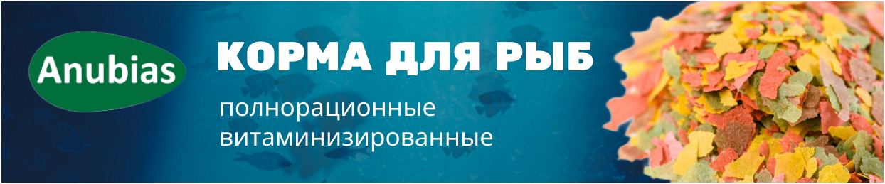 Аквариумное оборудование: аквариумный интернет-магазин STELLEX AQUA