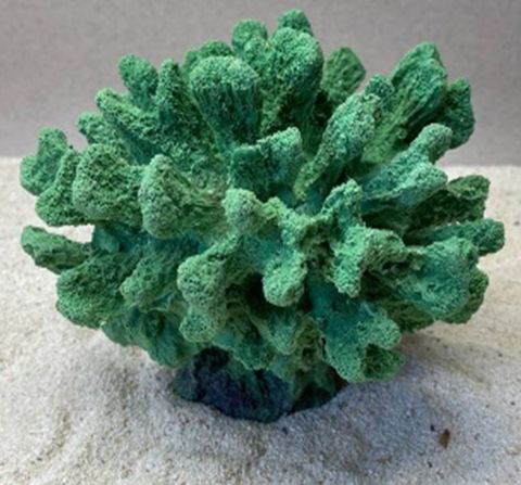 Цветной коралл зеленый Коралл средний, 18*17*14 см