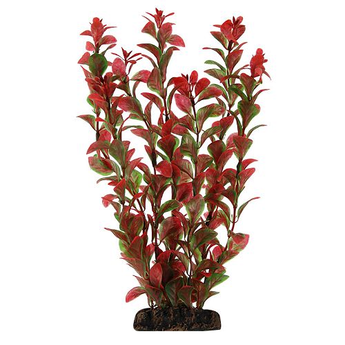 Растение Laguna "Людвигия" красная, 200 мм