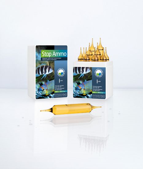 PRODIBIO Stop Ammo PRO10 1x600 л препарат для нейтрализации аммиака в морской и пресной воде, 10 шт. от интернет-магазина STELLEX AQUA
