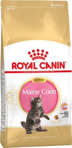 Корм Royal Canin Kitten Maine Coon для котят породы мейн-кун и крупных пород до 15 месяцев