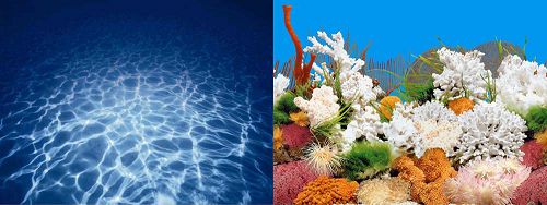 Фон NATURE двухсторонний Синее море/ Белые кораллы, 50 см