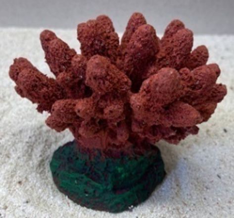 Цветной коралл красный Коралл, 13*10*10 см