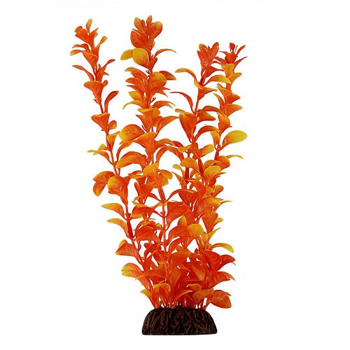 Растение Laguna "Людвигия" оранжевая, 200 мм