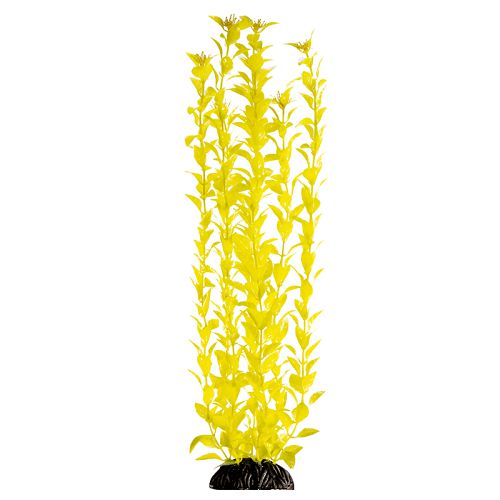 Растение Laguna "Людвигия" ярко-желтая, 500 мм