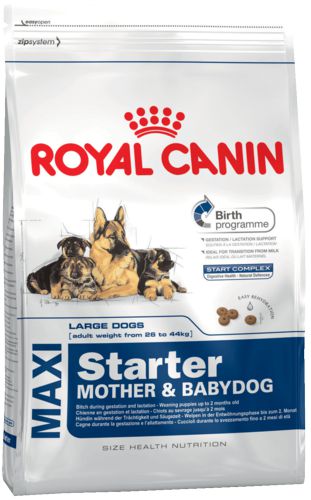 Корм Royal Canin MAXI STARTER для щенков до 2 месяцев, беременных и кормящих сук