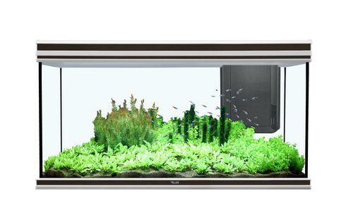 Аквариум AQUATLANTIS FUSION 150, 421 л, 150x50x70 см, LED-светильник 2х72w от интернет-магазина STELLEX AQUA
