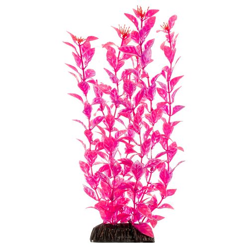 Растение Laguna "Людвигия" ярко-розовая, 400 мм