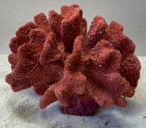 Цветной коралл красный Коралл большой, 21*18*16 см