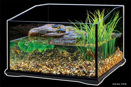 Exo Terra Turtle Terrarium террариум стеклянный для черепах, 45х45х30 см