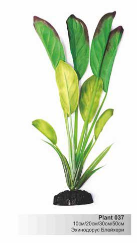 Шёлковое растение Barbus Эхинодорус Блейхери 30 см