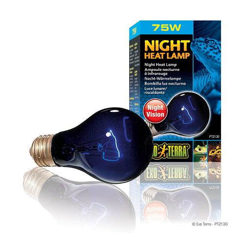 Exo Terra NIGHT HEAT LAMP A19 Moonlight лампа лунного света для террариума, 75 Вт